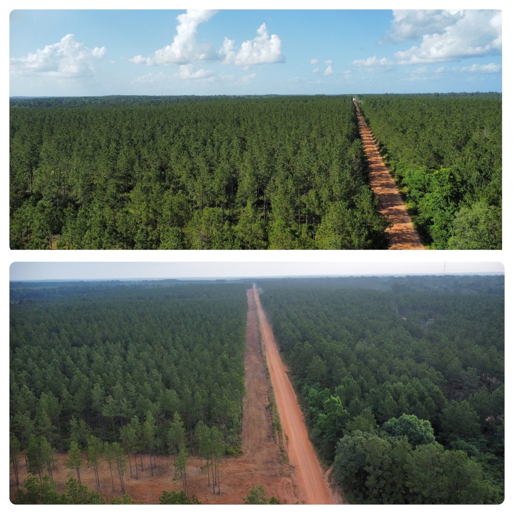 land clearing right away