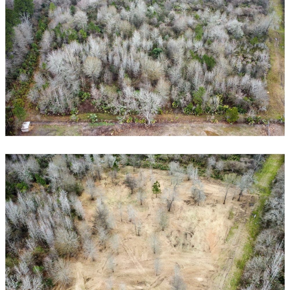 mulching before_after 1