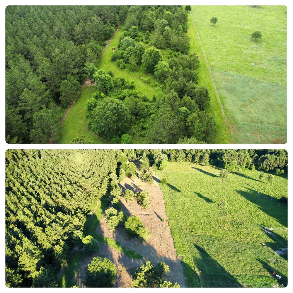 mulching before_after 2