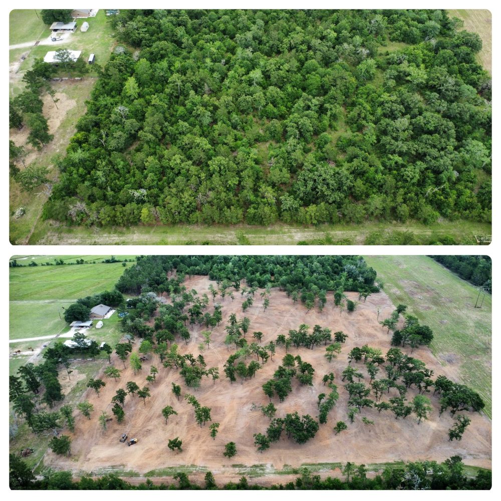 mulching before_after 3